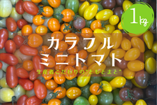 �J���t���~�j�g�}�g1kg��