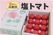 �F�{���Y ���g�}�g�u���z�̎q�Z���u�v1kg��