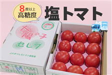 �F�{���Y ���g�}�g�u���z�̎q�Z���u�v1kg���y�①�ցz