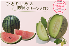 �y��̓��z�F�{���Y �ЂƂ肶�߁����O���[��������