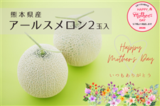 �y��̓��z�F�{���Y �A�[���X�������Q��