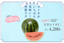 �y�Y�n����zJA���݂܂����E�F�{�s ��ʃX�C�J �k1�ʓ���