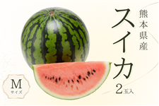 �F�{���Y��ʃX�C�J�l2�ʓ���