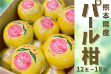 �F�{���Y�p�[�����@12�ʁ`18�ʓ���