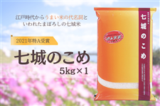 新米!令和7年産 七城のこめ 5kg