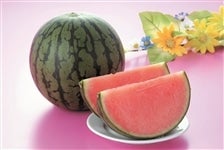 �F�{���Y���ʃX�C�J�u�ЂƂ肶�߁v3L�T�C�Y�Q��