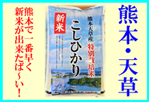 �V�āI�ߘa8�N�Y �V���Y�����Ђ���5kg