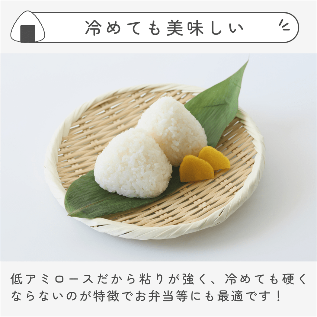 新米！令和7年産 ミルキークィーン5kg: you+youくまもと 農畜産物市場