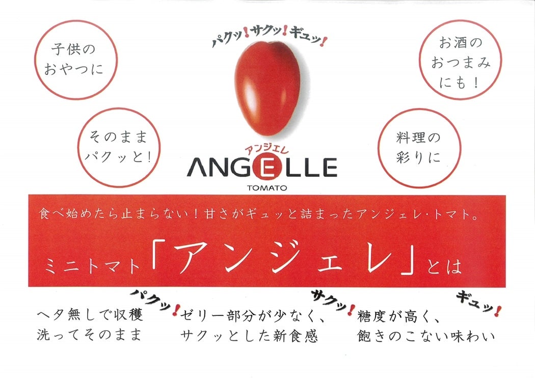 �Â��Ă��������B�����̂��q�l�Ƀ��s�[�g�������������Ă�g�}�g�ł�