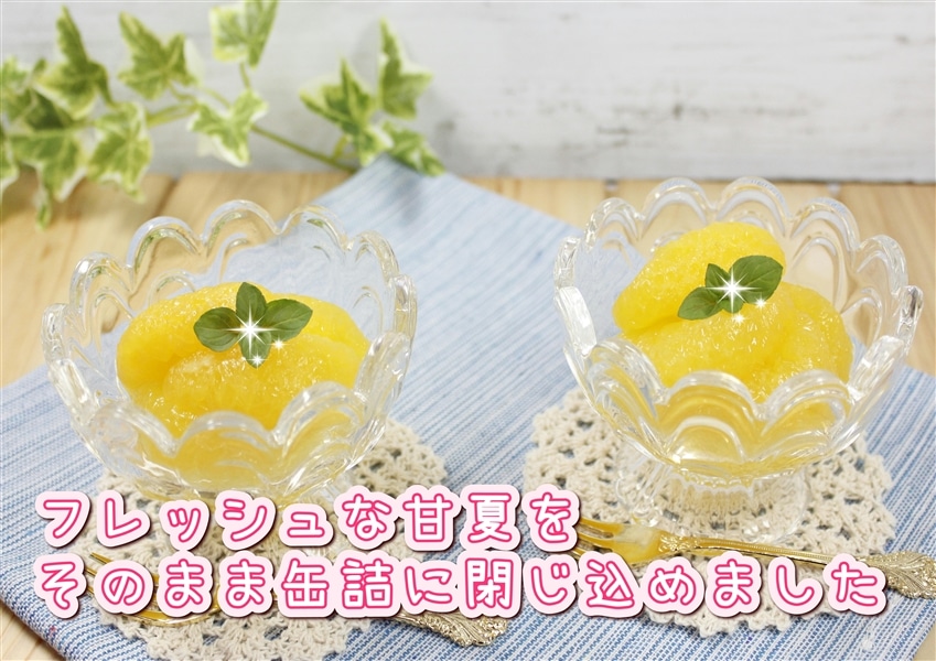 お中元 甘夏みかん缶詰 300g×6缶: JA熊本うきっ子ショップ|【JA