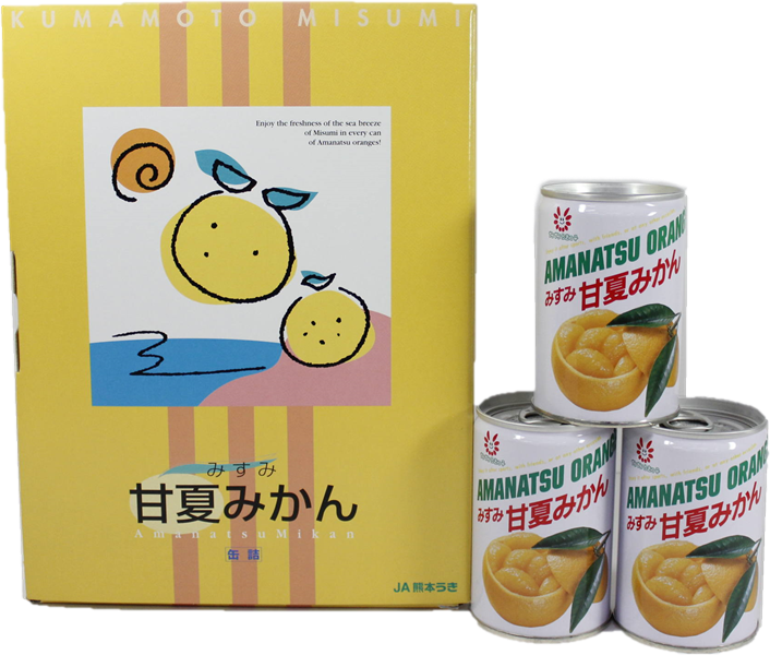 JAタウン夏祭り 甘夏みかん缶詰 300g×12缶: JA熊本うきっ子