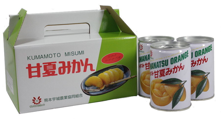 産地直送 通販 お取り寄せ甘夏みかん缶詰 300g 6缶 ｊａ熊本うきっ子ショップ ｊａタウン