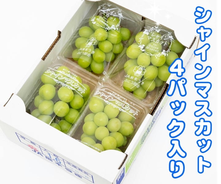 JAタウン夏祭り【熊本宇城産】シャインマスカット1.6㎏: JA熊本う