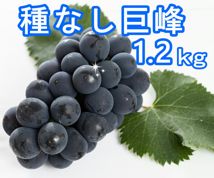 JAタウン夏祭り【熊本宇城産】種なし巨峰1.2㎏: JA熊本うきっ子