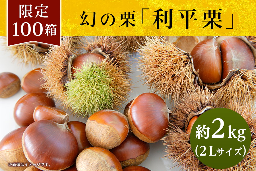 宇城のおすすめ【利平栗】2L ９／１5頃～発送 【限定価格】: ＪＡ熊本