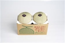 【熊本宇城産】アンデスメロン2玉