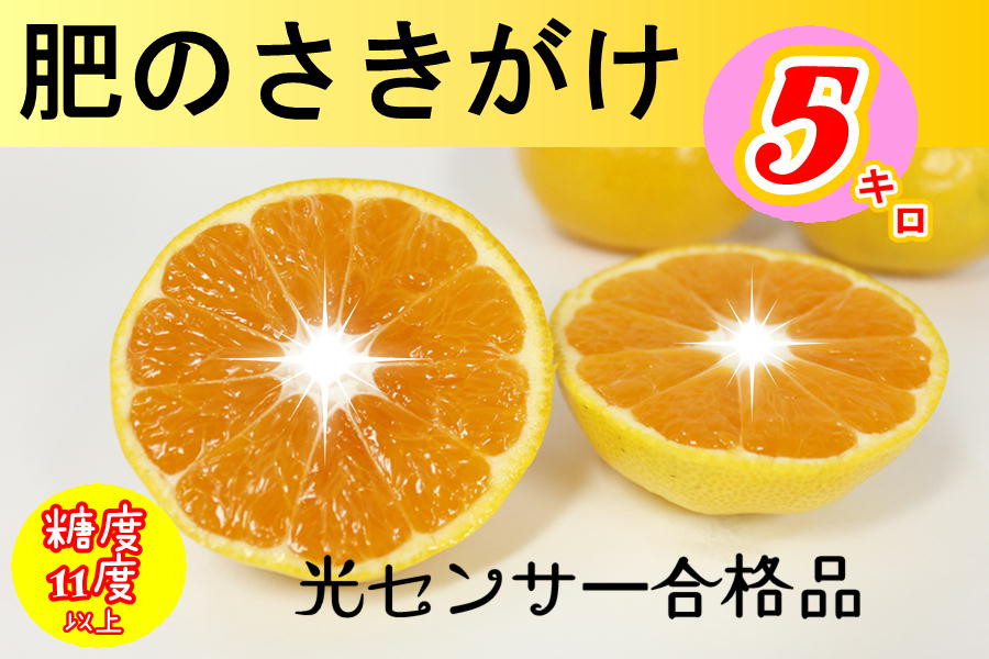 yF{FYẑTs