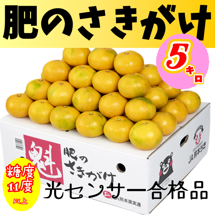 肥のさきがけ