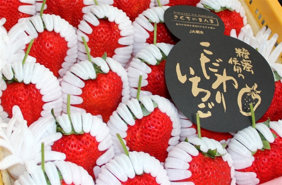 大決算セール限定100箱】糖蜜使用の「こだわりいちご」 ひのしずく 約