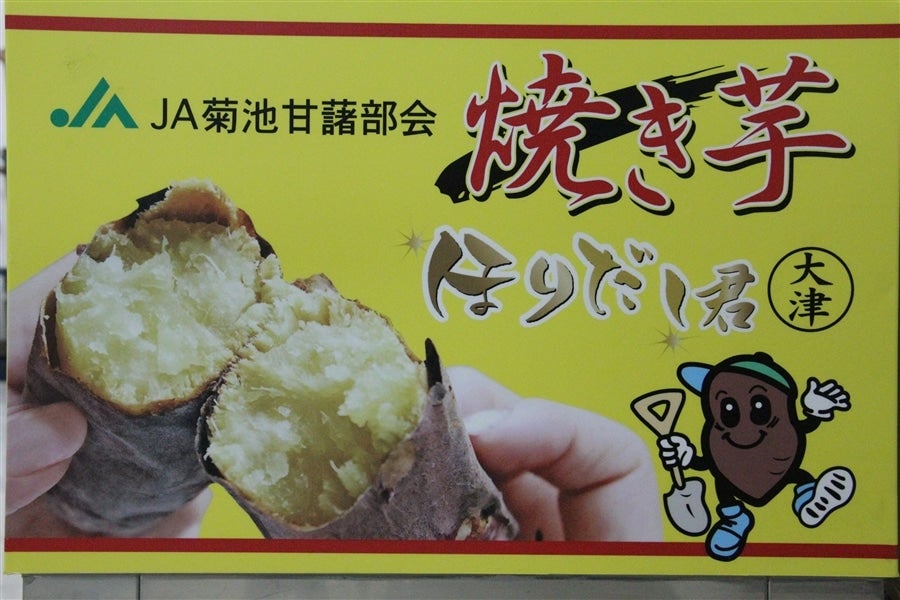 産地直送 通販 お取り寄せ大津かんしょ ほりだし君 ５ｋｇ きくちのまんまｊａタウン店 ｊａタウン