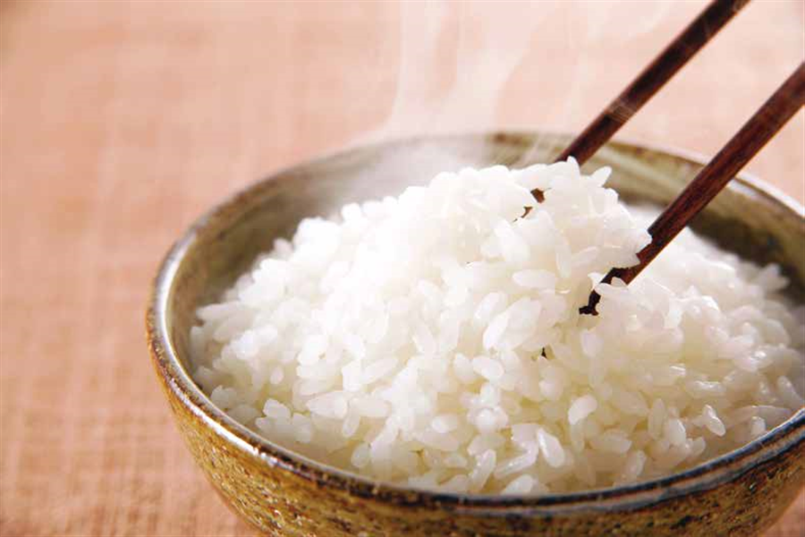 【新春生活応援キャンペーン】令和7年産「七城のこめ」5kg