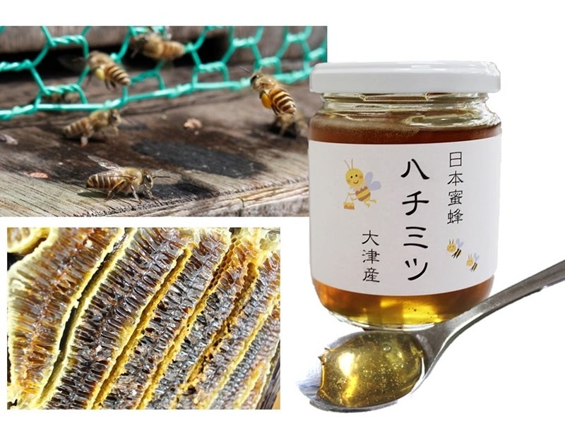 日本みつばちの蜜（ハチミツ）