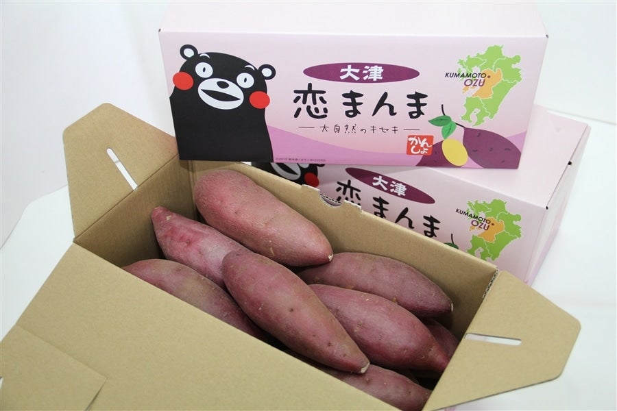 大津かんしょ『ほりだし君』 2．5kg: きくちのまんまJA
