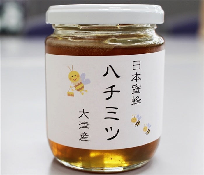 日本ミツバチの蜂蜜  600×2本
