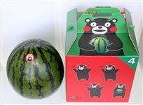 �y�t��JA�^�E���Ղ�z�e�r��ʂ������i�t�̂�����j�P��