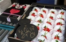 糖蜜使用の「こだわりいちご」 ひのしずく: きくちのまんまJAタウン