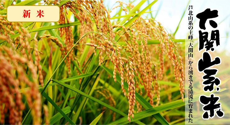 新米】大関山系米 (5kg)【令和6年度産／ヒノヒカリ】: JAあしき