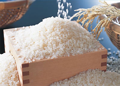 【令和7年度産】特別栽培米 大関米(品種:くまさんの輝き)5kg【新発売】