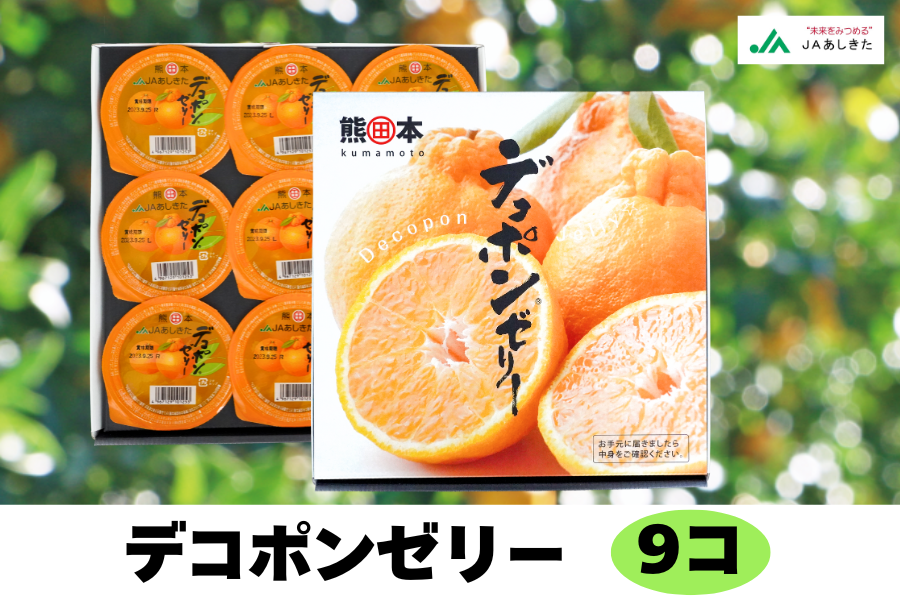 父の日】 デコポンゼリー (9個入): JAあしきた|【JAタウン】産地直送