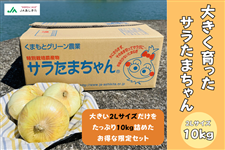 �y���ʌ���z�傫��������T�����܂���� 10kg 2L�T�C�Y 25�ʑO��y5�����{-6�����{�ɔ����z