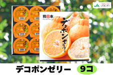 �y���̓��z �f�R�|���[���[ (9��)