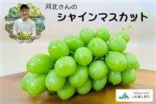 ゆきとあん シャインマスカット8キロ ゆきとあん シャインマスカット8キロ