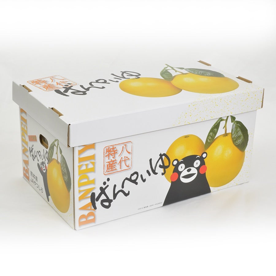 【お歳暮】熊本県産 柑橘　デコポン・晩白柚ギフトセット【デコポン5個（15玉サイズ）・晩白柚1玉（2Lサイズ）】