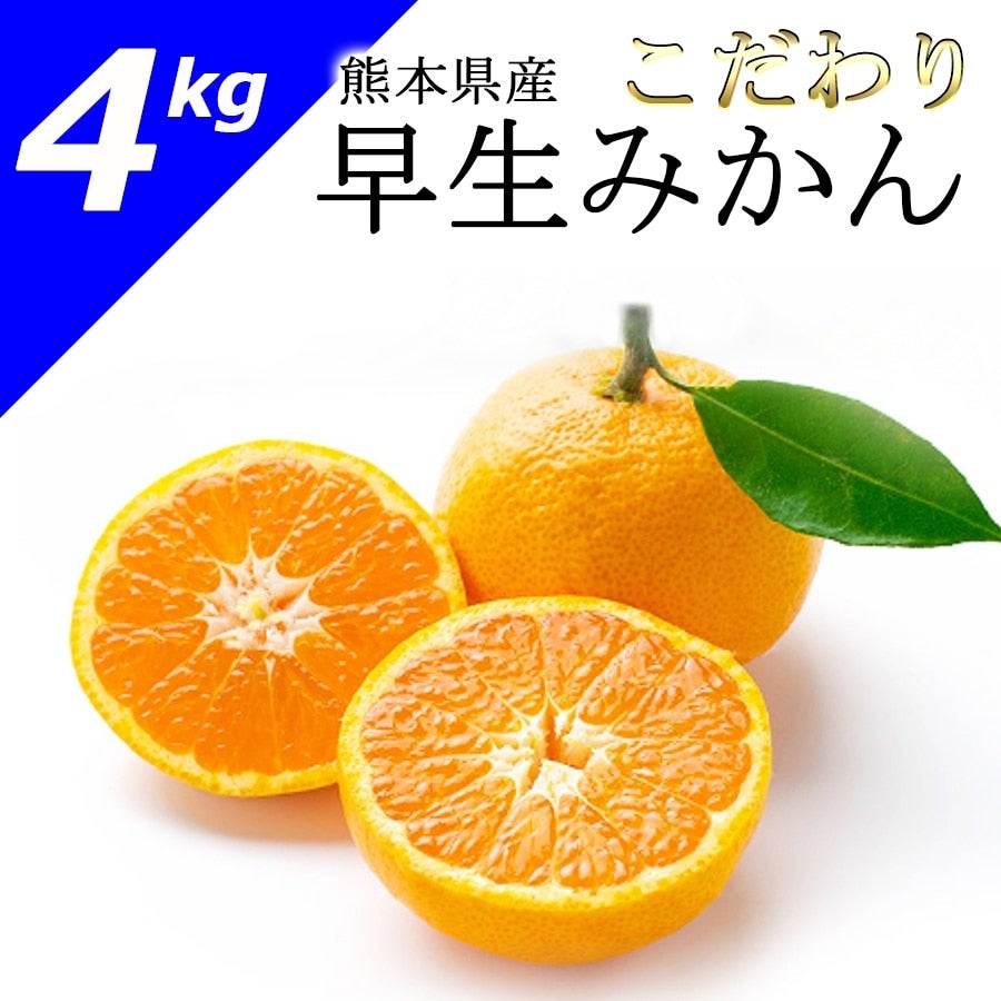 |【ＪＡタウン】産地直送　こだわり　早生みかん【約5kg入】※11/1～発送予定:　通販　お取り寄せ