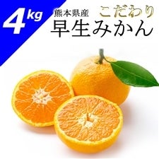  ݂y4kgz2025N11{`\