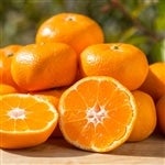 @艷B݂ijy4kgz2025N12{`\