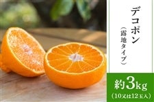 �F�{���Y �f�R�|�� �I�n�͔|�y��3kg�E10����12�ʓ��z