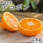 �f�R�|���y�����^�C�v�z2�s