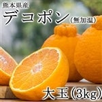 �f�R�|�� �����͔|�i�������j�^�C�v�@��ʃT�C�Y