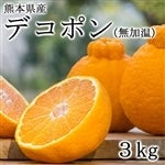 �f�R�|�� �����͔|�i�������j�^�C�v