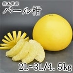 熊本県産 柑橘 パール柑【約4.5kg・3L/2L 8〜12個入】
