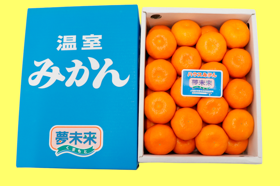 夢未来ハウスみかん【夏期限定の天然スイーツ！】: JA熊本市オンライン