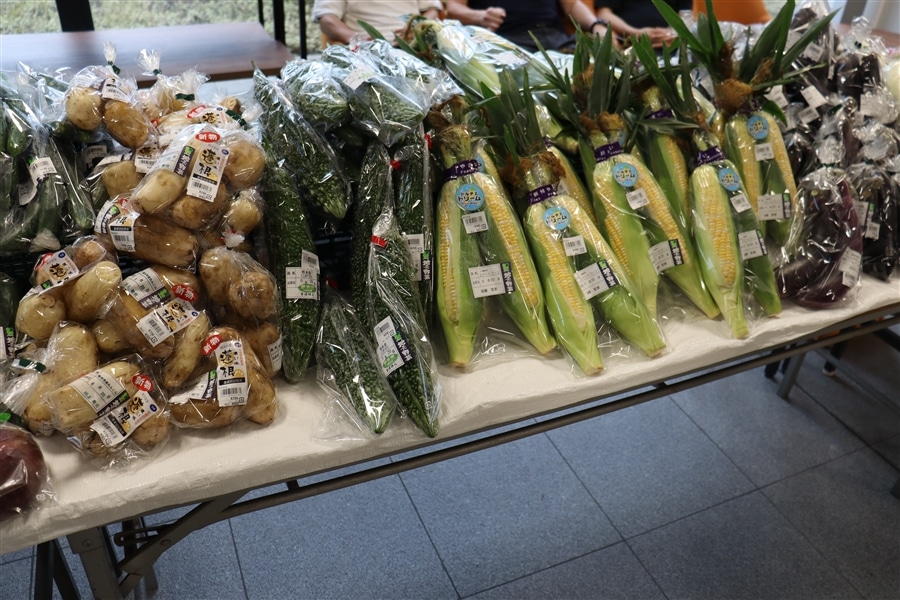 熊本市産 季節の野菜詰め合わせBOX【夏のJAタウン祭り】: JA熊本市