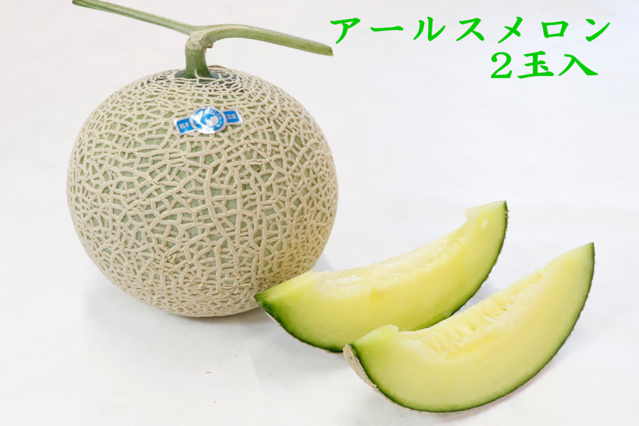 熊本市産アールスメロン2玉【芳醇な香りと上品な甘み！】【夏のJA