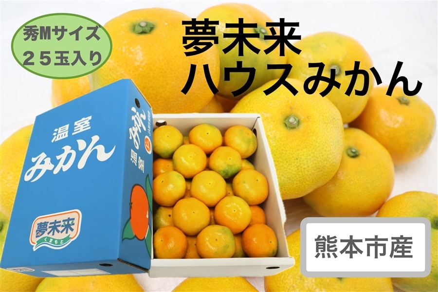 熊本市産 夢未来ハウスみかん【夏期限定の天然スイーツ！】: JA熊本市