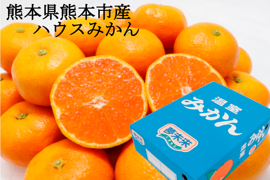 夢未来ハウスみかん【夏期限定の天然スイーツ！】: JA熊本市オンライン